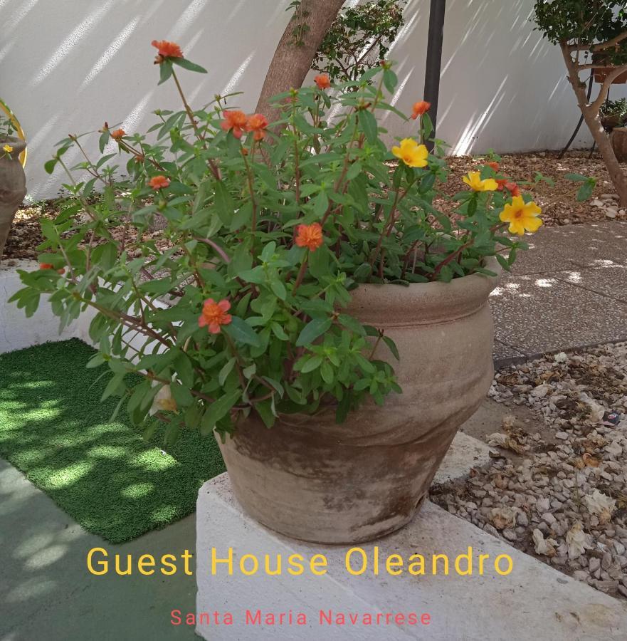 Guest House Oleandro Iun 2727 Santa Maria Navarrese Esterno foto